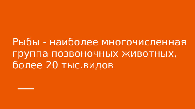 Рыбы - наиболее многочисленная группа позвоночных животных, более 20 тыс.видов 