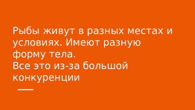 Рыбы живут в разных местах и условиях. Имеют разную форму тела.  Все это из-за большой конкуренции 