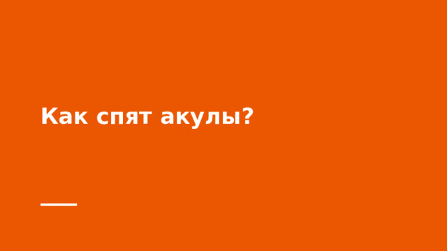 Как спят акулы? 