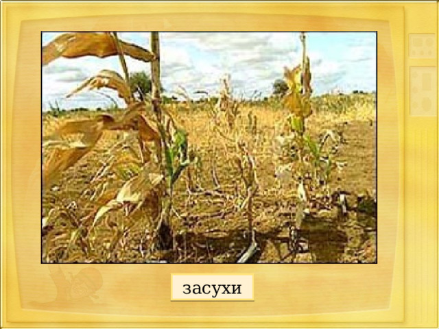 Вставка рисунка засухи 