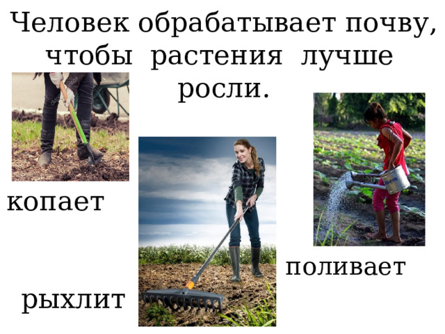 Человек обрабатывает почву, чтобы растения лучше росли. копает поливает рыхлит 