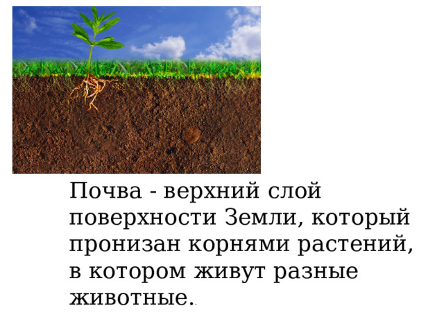 Почва - верхний слой поверхности Земли, который пронизан корнями растений, в котором живут разные животные. . 