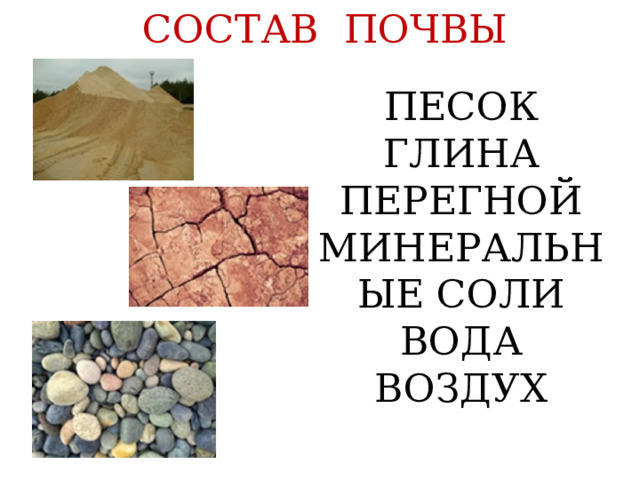 СОСТАВ ПОЧВЫ ПЕСОК ГЛИНА ПЕРЕГНОЙ МИНЕРАЛЬНЫЕ СОЛИ ВОДА ВОЗДУХ 