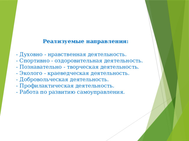     Реализуемые направления:   - Духовно - нравственная деятельность.  - Спортивно - оздоровительная деятельность.  - Познавательно - творческая деятельность.  - Эколого - краеведческая деятельность.  - Добровольческая деятельность.  - Профилактическая деятельность.  - Работа по развитию самоуправления. 