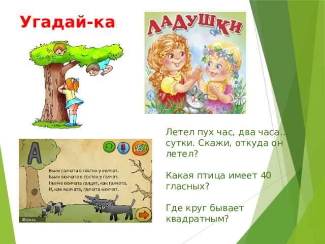 Угадай-ка Летел пух час, два часа… сутки. Скажи, откуда он летел?  Какая птица имеет 40 гласных? Где круг бывает квадратным? 