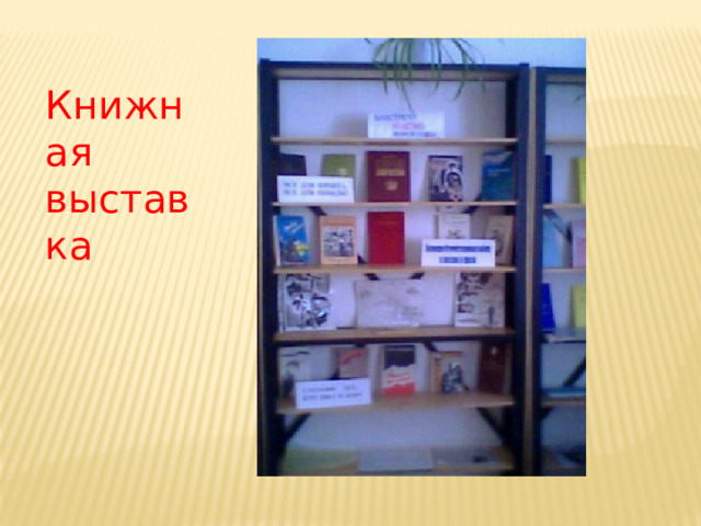 Книжная выставка 