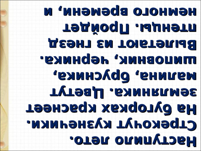 Наступило лето. Стрекочут кузнечики. На бугорках краснеет земляника. Цветут малина, брусника, шиповник, черника. Вылетают из гнезд птенцы. Пройдет немного времени, и появятся вкусные лесные ягоды. 