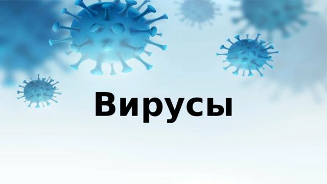 Вирусы 