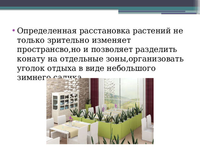 Определенная расстановка растений не только зрительно изменяет пространсво,но и позволяет разделить конату на отдельные зоны,организовать уголок отдыха в виде небольшого зимнего садика. 