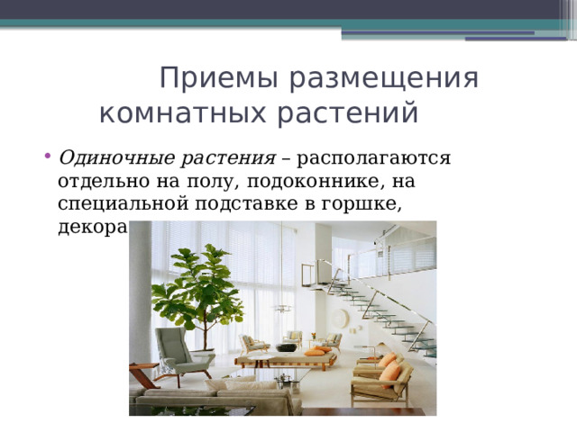   Приемы размещения комнатных растений Одиночные растения – располагаются отдельно на полу, подоконнике, на специальной подставке в горшке, декоративном кашпо. 