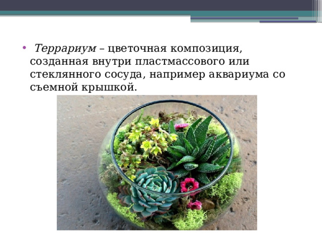  Террариум – цветочная композиция, созданная внутри пластмассового или стеклянного сосуда, например аквариума со съемной крышкой. 