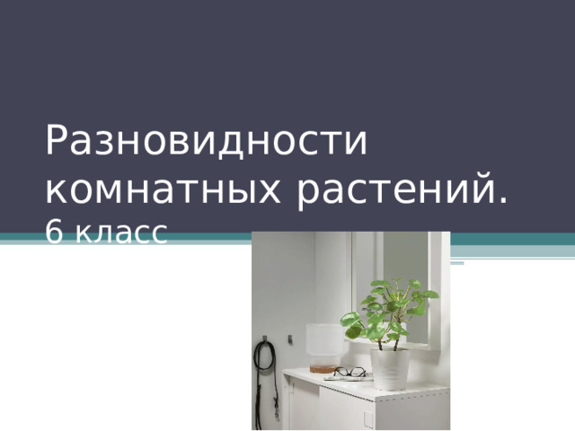 Разновидности комнатных растений.  6 класс 