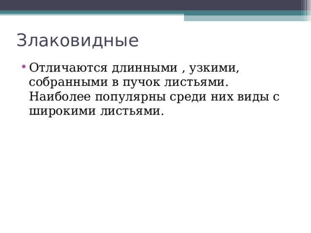 Злаковидные Отличаются длинными , узкими, собранными в пучок листьями. Наиболее популярны среди них виды с широкими листьями. 