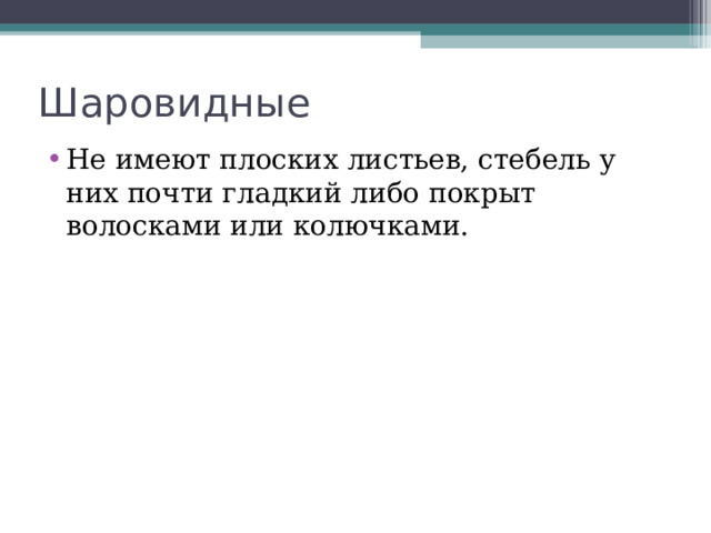 Шаровидные Не имеют плоских листьев, стебель у них почти гладкий либо покрыт волосками или колючками. 
