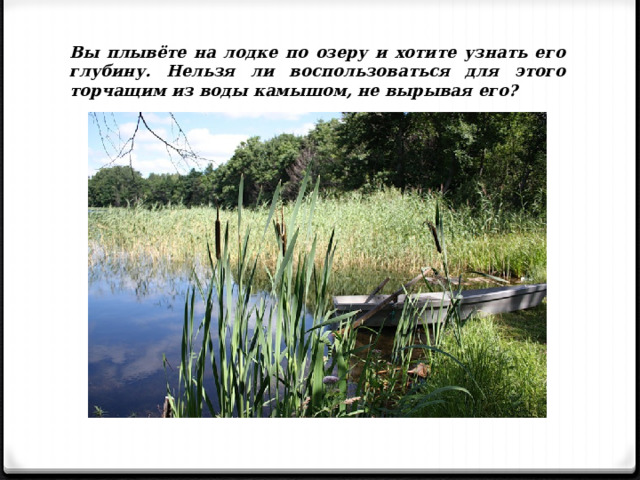 Вы плывёте на лодке по озеру и хотите узнать его глубину. Нельзя ли воспользоваться для этого торчащим из воды камышом, не вырывая его? 
