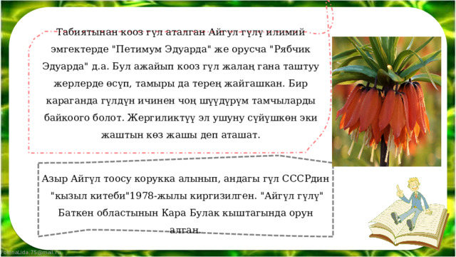 Табиятынан кооз гүл аталган Айгул гүлү илимий эмгектерде 