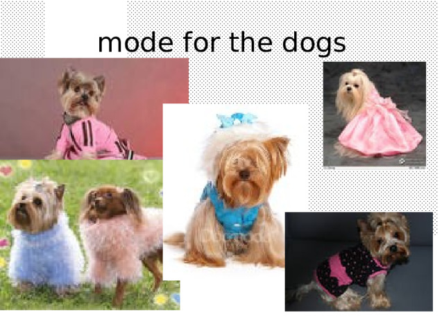 mode for the dogs 