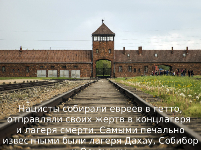 Нацисты собирали евреев в гетто, отправляли своих жертв в концлагеря и лагеря смерти. Самыми печально известными были лагеря Дахау, Собибор и Освенцим. 