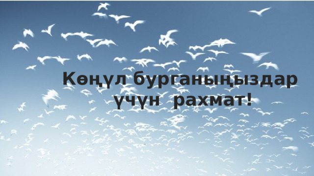 Көңүл бурганыңыздар үчүн рахмат! 