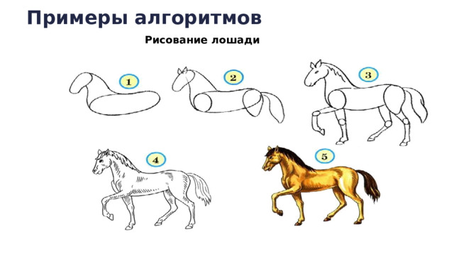 Примеры алгоритмов Рисование лошади  