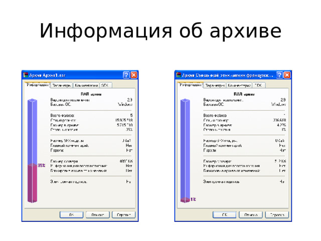Информация об архиве 