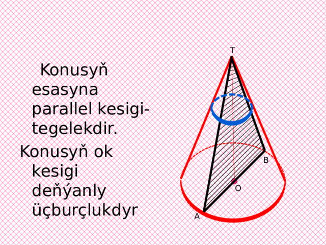 T  Konusyň esasyna parallel kesigi- tegelekdir. Konusyň ok kesigi deňýanly üçburçlukdyr B O A 