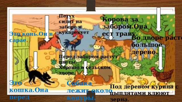 Петух сидит на заборе и кукарекует. Корова за забором.Она ест траву. Это конь.Он в сарае . Во дворе растет большое дерево. Перед забором растут цветы. Хорошо в сельском дворе. Это кошка.Она перед дверью. Собака лежит около конуры. Под деревом курица с цыплятами клюют зерна. 