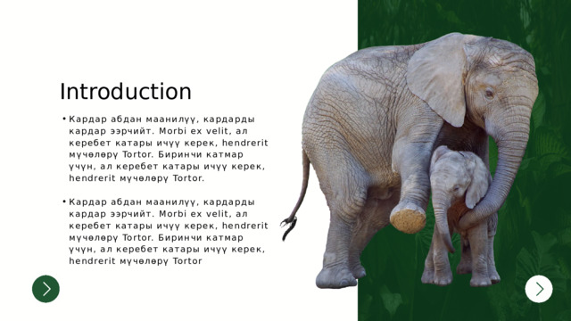 Introduction Кардар абдан маанилүү, кардарды кардар ээрчийт. Morbi ex velit, ал керебет катары ичүү керек, hendrerit мүчөлөрү Tortor. Биринчи катмар үчүн, ал керебет катары ичүү керек, hendrerit мүчөлөрү Tortor. Кардар абдан маанилүү, кардарды кардар ээрчийт. Morbi ex velit, ал керебет катары ичүү керек, hendrerit мүчөлөрү Tortor. Биринчи катмар үчүн, ал керебет катары ичүү керек, hendrerit мүчөлөрү Tortor. Кардар абдан маанилүү, кардарды кардар ээрчийт. Morbi ex velit, ал керебет катары ичүү керек, hendrerit мүчөлөрү Tortor. Биринчи катмар үчүн, ал керебет катары ичүү керек, hendrerit мүчөлөрү Tortor Кардар абдан маанилүү, кардарды кардар ээрчийт. Morbi ex velit, ал керебет катары ичүү керек, hendrerit мүчөлөрү Tortor. Биринчи катмар үчүн, ал керебет катары ичүү керек, hendrerit мүчөлөрү Tortor 