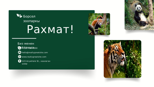 Борсел зоопаркы Рахмат! Биз менен байланыш +123-456-7890 hello@reallygreatsite.com www.reallygreatsite.com 123 Anywhere St., каалаган шаар 