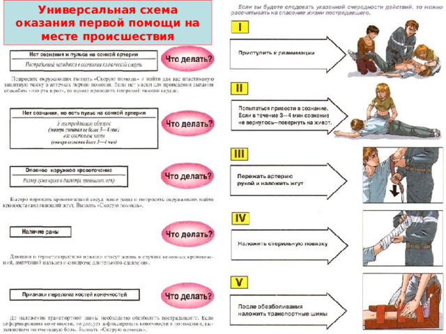 Универсальная схема оказания первой помощи на месте происшествия 