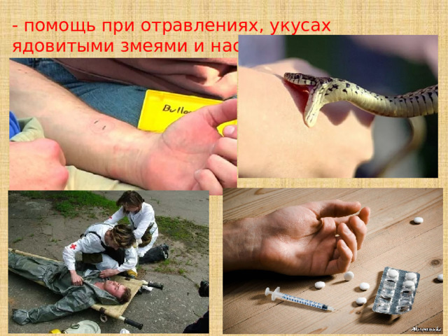 - помощь при отравлениях, укусах ядовитыми змеями и насекомыми. 