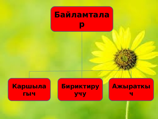 Байламталар Каршылагыч Бириктируучу Ажыраткыч 