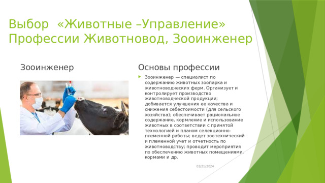 Выбор «Животные –Управление»  Профессии Животновод, Зооинженер Зооинженер Основы профессии Зооинженер — специалист по содержанию животных зоопарка и животноводческих ферм. Организует и контролирует производство животноводческой продукции; добивается улучшения ее качества и снижения себестоимости (для сельского хозяйства); обеспечивает рациональное содержание, кормление и использование животных в соответствии с принятой технологией и планом селекционно-племенной работы; ведет зоотехнический и племенной учет и отчетность по животноводству; проводит мероприятия по обеспечению животных помещениями, кормами и др. 02/21/2024 