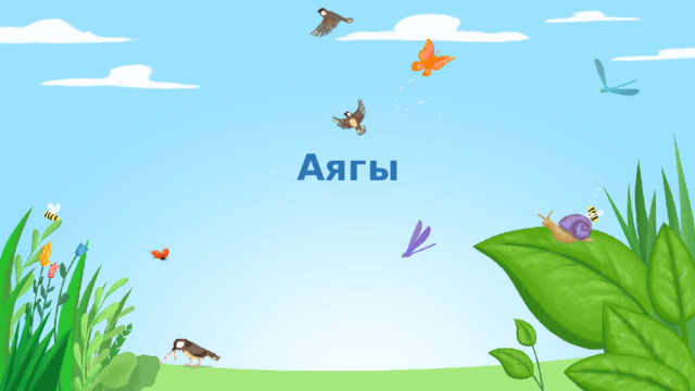 Аягы 