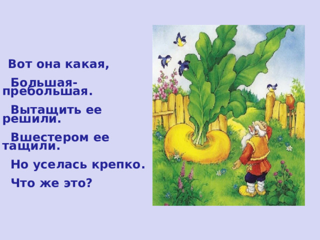  Вот она какая,   Большая-пребольшая.   Вытащить ее решили.   Вшестером ее тащили.   Но уселась крепко.   Что же это?  