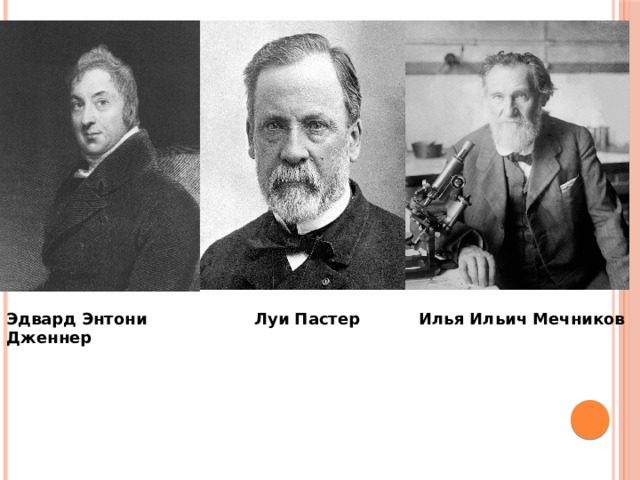Эдвард Энтони Дженнер Луи Пастер Илья Ильич Мечников 