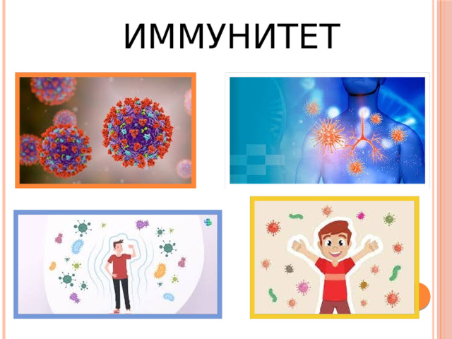 Иммунитет 