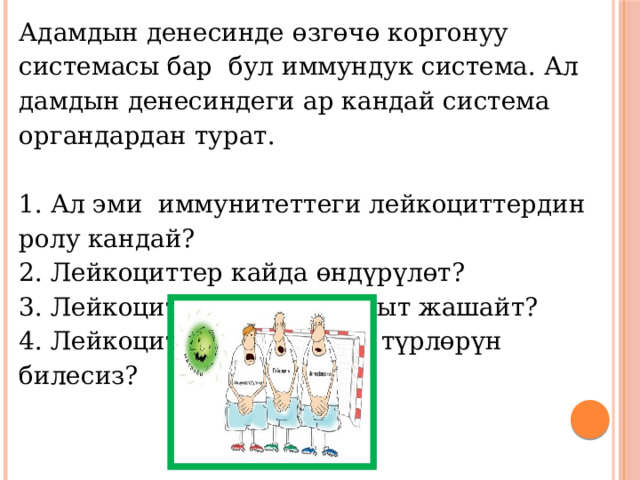 Адамдын денесинде өзгөчө коргонуу системасы бар бул иммундук система. Ал дамдын денесиндеги ар кандай система органдардан турат. 1. Ал эми иммунитеттеги лейкоциттердин ролу кандай? 2. Лейкоциттер кайда өндүрүлөт? 3. Лейкоциттер канча убакыт жашайт? 4. Лейкоциттердин кандай түрлөрүн билесиз? 