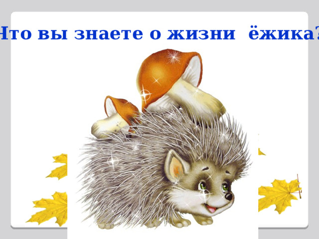 Что вы знаете о жизни ёжика? 