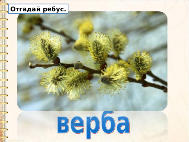 Отгадай ребус. 