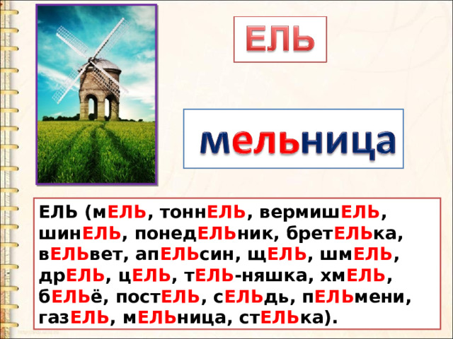 ЕЛЬ (м ЕЛЬ , тонн ЕЛЬ , вермиш ЕЛЬ , шин ЕЛЬ , понед ЕЛЬ ник, брет ЕЛЬ ка, в ЕЛЬ вет, ап ЕЛЬ син, щ ЕЛЬ , шм ЕЛЬ , др ЕЛЬ , ц ЕЛЬ , т ЕЛЬ -няшка, хм ЕЛЬ , б ЕЛЬ ё, пост ЕЛЬ , с ЕЛЬ дь, п ЕЛЬ мени, газ ЕЛЬ , м ЕЛЬ ница, ст ЕЛЬ ка). 