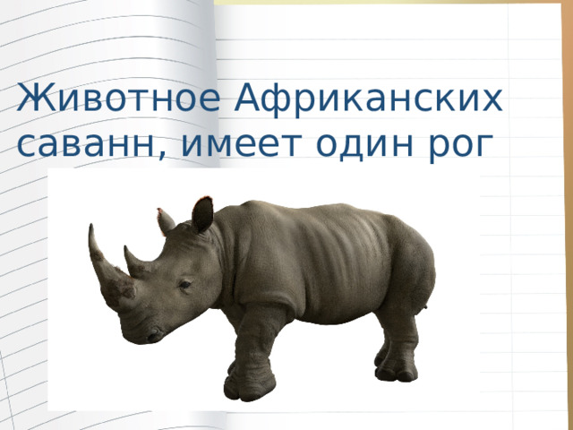 Животное Африканских саванн, имеет один рог 