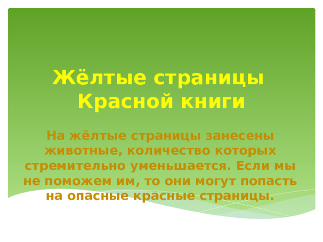 Жёлтые страницы  Красной книги На жёлтые страницы занесены животные, количество которых стремительно уменьшается. Если мы не поможем им, то они могут попасть на опасные красные страницы. 