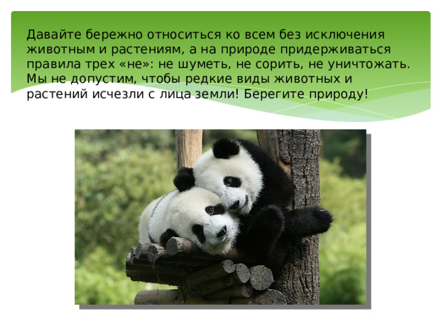 Давайте бережно относиться ко всем без исключения животным и растениям, а на природе придерживаться правила трех «не»: не шуметь, не сорить, не уничтожать. Мы не допустим, чтобы редкие виды животных и растений исчезли с лица земли! Берегите природу! 