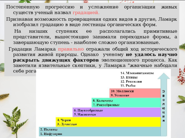 Постепенную прогрессию и усложнение организации живых существ ученый назвал градацией. Признавая возможность превращения одних видов в другие, Ламарк изобразил градацию в виде лестницы органических форм.  На низших ступенях ее располагались примитивные представители, вышестоящие занимали переходные формы, а завершающую ступень - наиболее сложно организованные.  Градации Ламарка правильно отражали общий ход исторического развития живой природы. Однако ученому не удалось научно раскрыть движущих факторов эволюционного процесса. Как заметили язвительные скептики, у Ламарка 