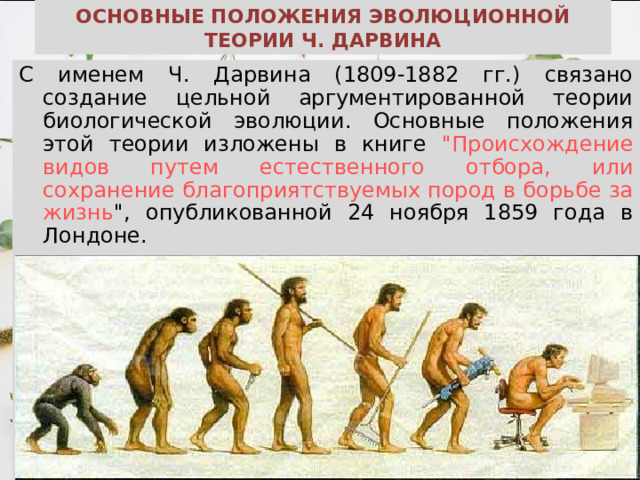 ОСНОВНЫЕ ПОЛОЖЕНИЯ ЭВОЛЮЦИОННОЙ ТЕОРИИ Ч. ДАРВИНА С именем Ч. Дарвина (1809-1882 гг.) связано создание цельной аргументированной теории биологической эволюции. Основные положения этой теории изложены в книге 