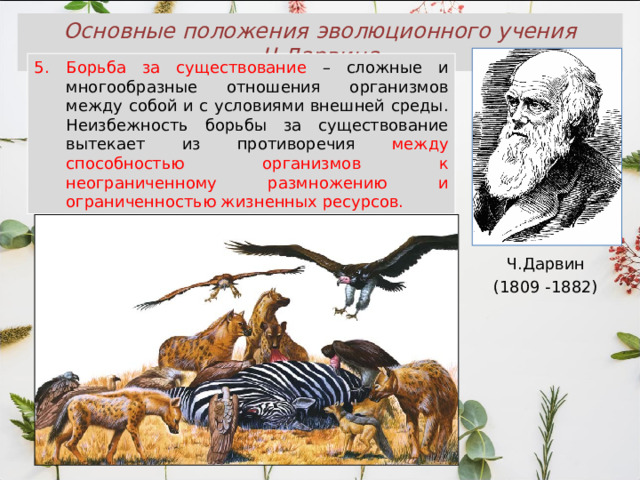 Основные положения эволюционного учения Ч.Дарвина Борьба за существование – сложные и многообразные отношения организмов между собой и с условиями внешней среды. Неизбежность борьбы за существование вытекает из противоречия между способностью организмов к неограниченному размножению и ограниченностью жизненных ресурсов. Ч.Дарвин (1809 -1882) 