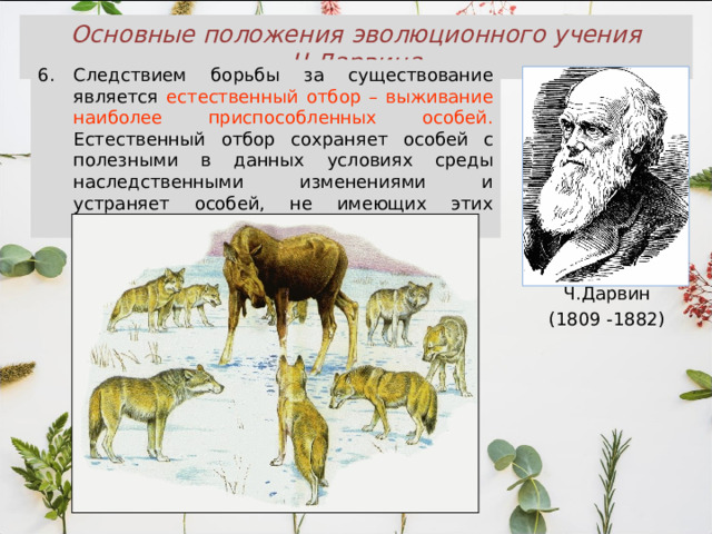 Основные положения эволюционного учения Ч.Дарвина Следствием борьбы за существование является естественный отбор – выживание наиболее приспособленных особей. Естественный отбор сохраняет особей с полезными в данных условиях среды наследственными изменениями и устраняет особей, не имеющих этих изменений. Ч.Дарвин (1809 -1882) 