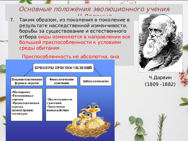 Основные положения эволюционного учения Ч.Дарвина Таким образом, из поколения в поколение в результате наследственной изменчивости, борьбы за существование и естественного отбора виды изменяются в направлении все большей приспособленности к условиям среды обитания.  Приспособленность не абсолютна, она носит относительный характер. Ч.Дарвин (1809 -1882) 