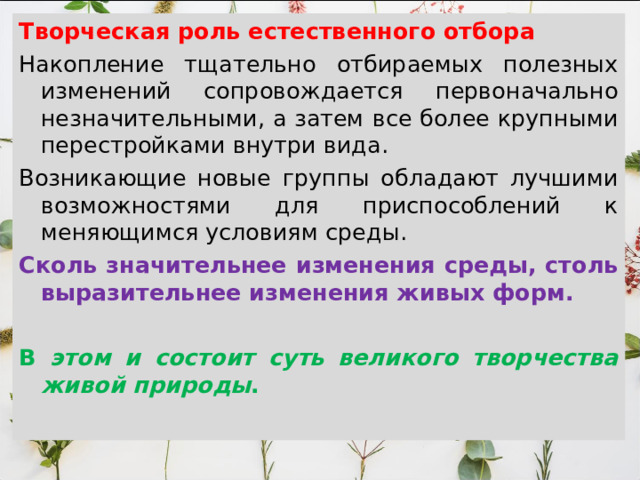 Творческая роль естественного отбора Накопление тщательно отбираемых полезных изменений сопровождается первоначально незначительными, а затем все более крупными перестройками внутри вида. Возникающие новые группы обладают лучшими возможностями для приспособлений к меняющимся условиям среды. Сколь значительнее изменения среды, столь выразительнее изменения живых форм.  В этом и состоит суть великого творчества живой природы . 